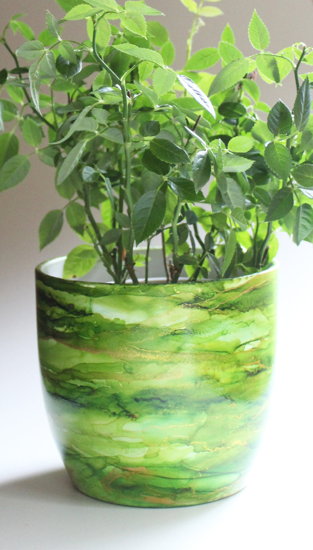 Green Midi Plant Pot