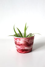 Load image into Gallery viewer, Baby Red Plant Pot
