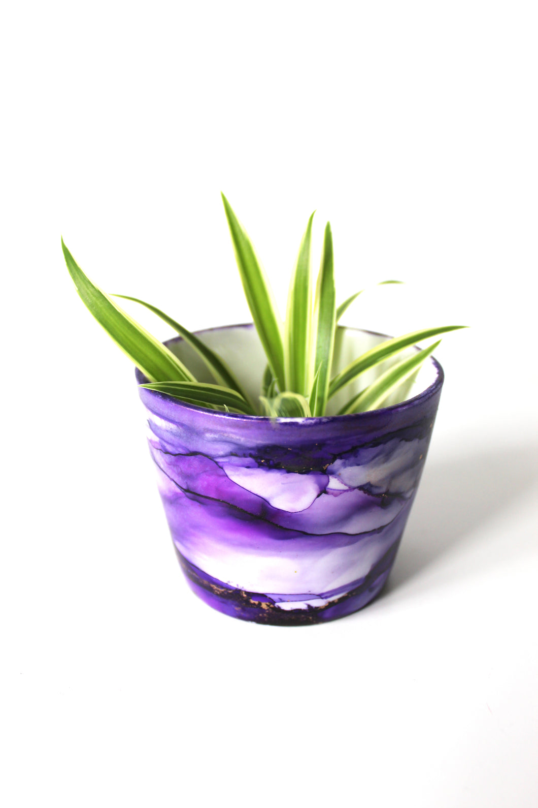 Baby Purple Plant Pot