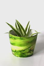 Load image into Gallery viewer, Baby Green Plant Pot
