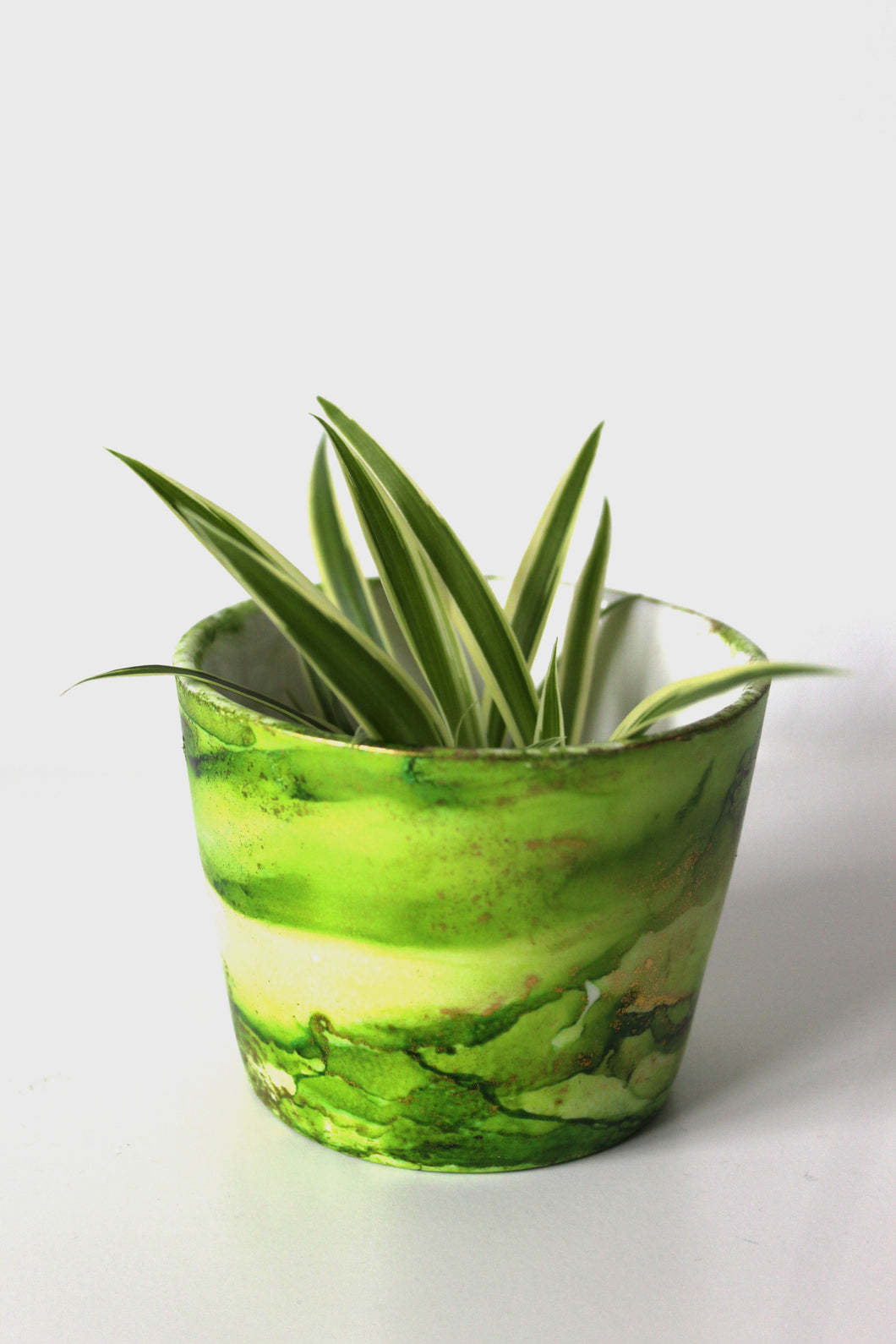 Baby Green Plant Pot