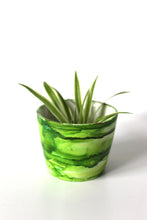 Load image into Gallery viewer, Baby Green Plant Pot
